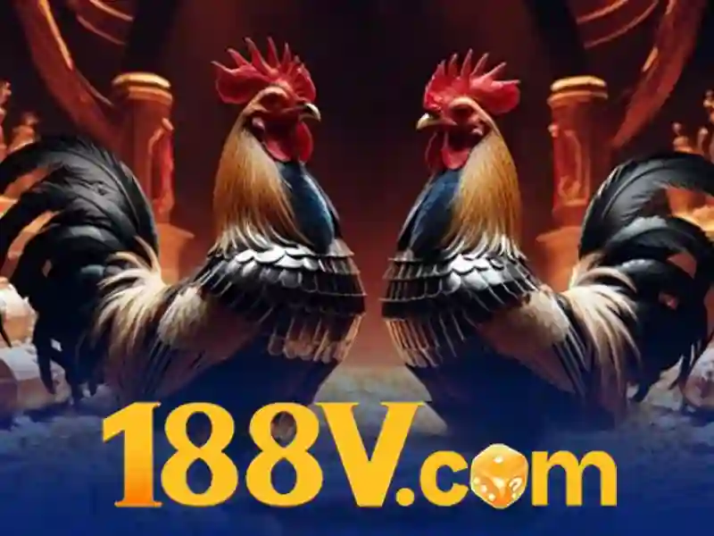 Chương Trình Ưu Đãi 188V Độc Quyền