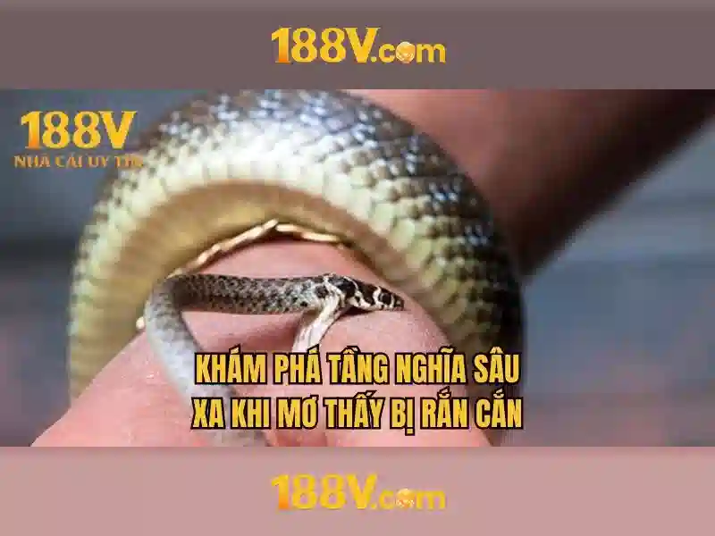 Trang Chủ 188V