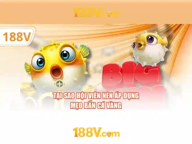 Trải Nghiệm Cá Cược Trực Tuyến 188V
