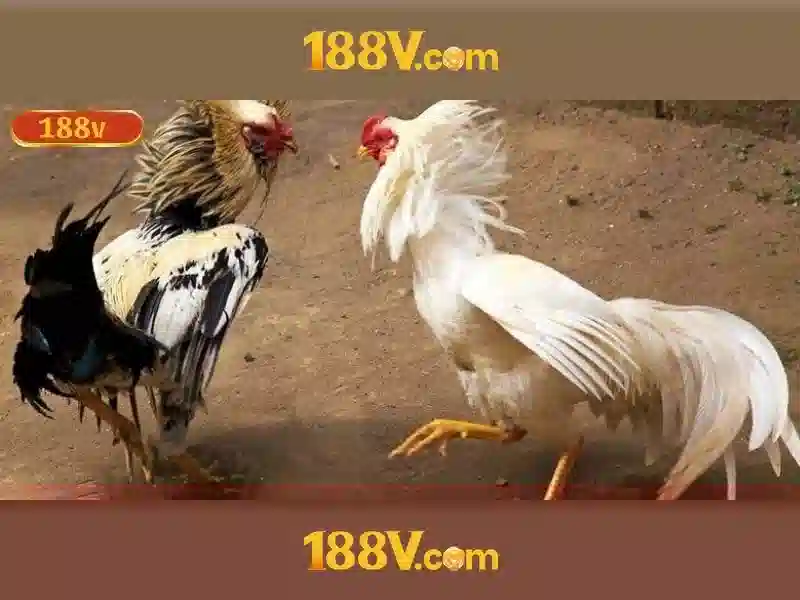Trải Nghiệm Slot Online Đỉnh Cao Tại 188v