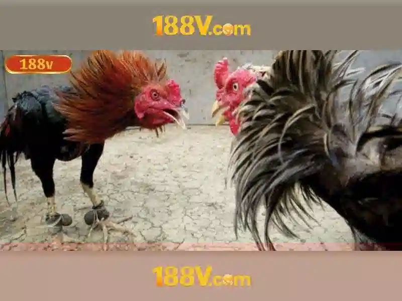 Đăng ký slot 188v
