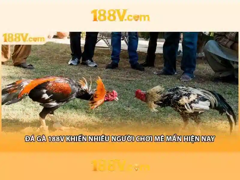 SLOT 188v