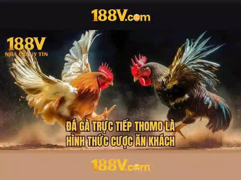 188V – Link Vào Trang Chủ 188v Chính Thức Không Bị Chặn 2026