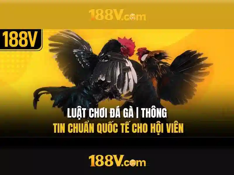 Trải nghiệm chơi slot 188v không thể bỏ lỡ
