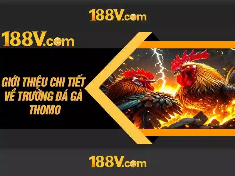 Bảo mật casino 188v