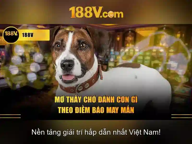 Đánh Giá 188V Có Lừa Đảo Không