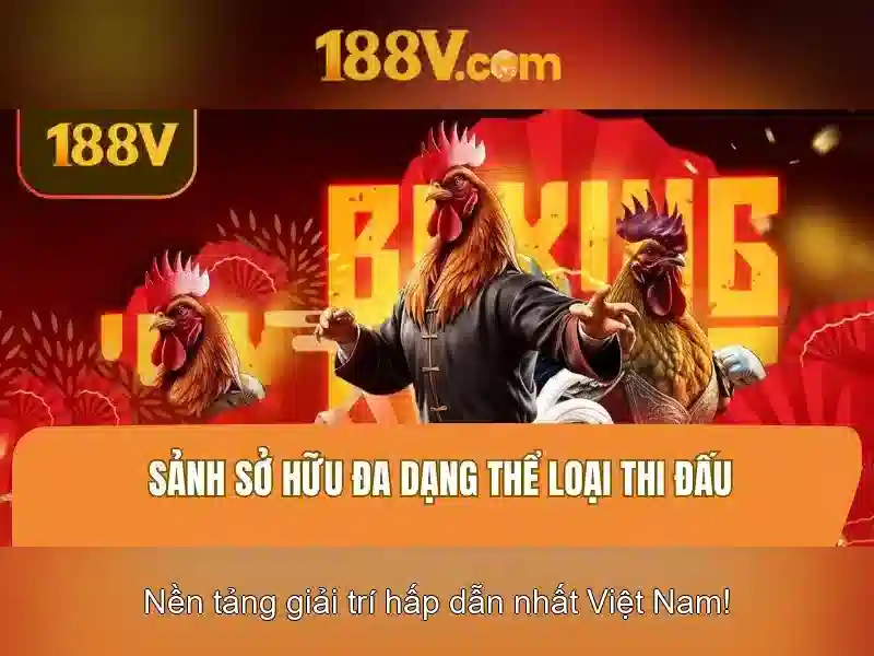 Vai Trò Của Tác Giả 188V