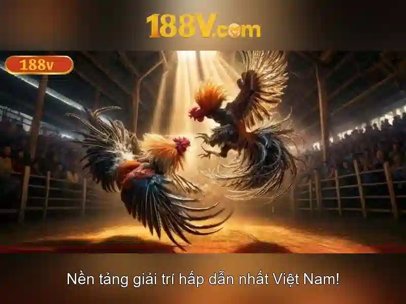 Ưu Điểm App 188V