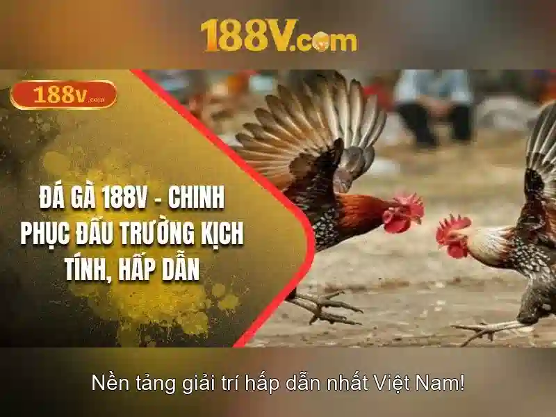 188V Nổ Hũ – Trải Nghiệm Slot Đỉnh Cao Không Thể Bỏ Lỡ 2026