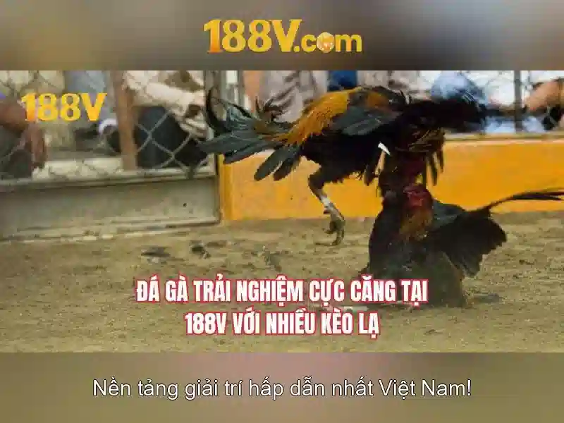 188V Đăng Nhập