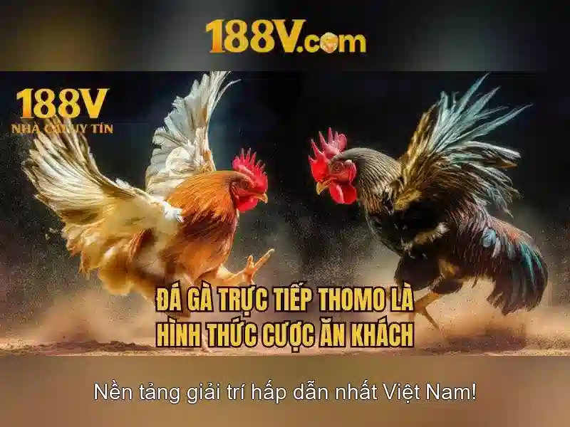 Lưu ý đăng ký slot 188v