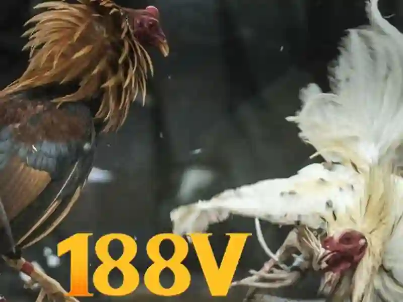 Ưu điểm 188v apk